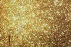 t1vibes-fotoboks-382