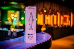 T1-Vibes-2025-melu-Karen-Harms-164