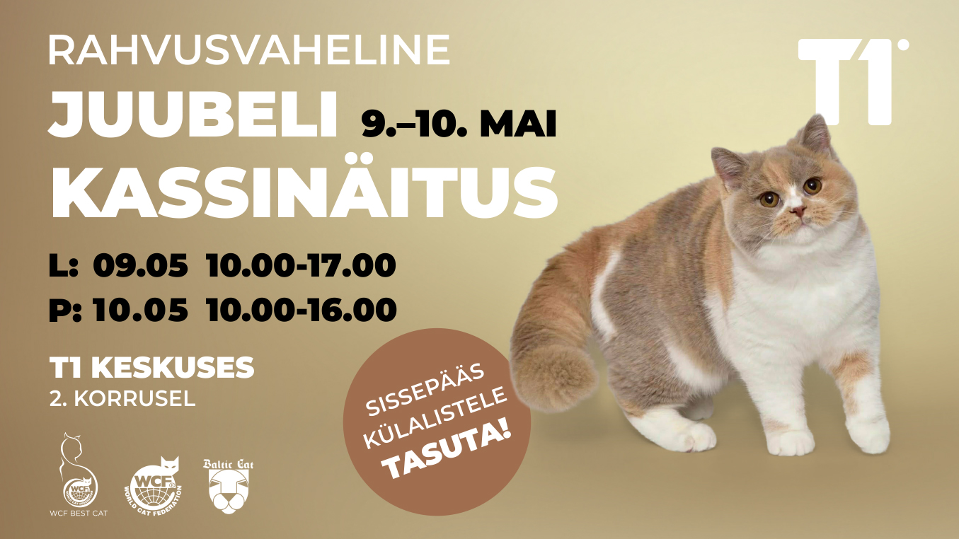 02_t1_kassinaitus_juubel_1355x762px