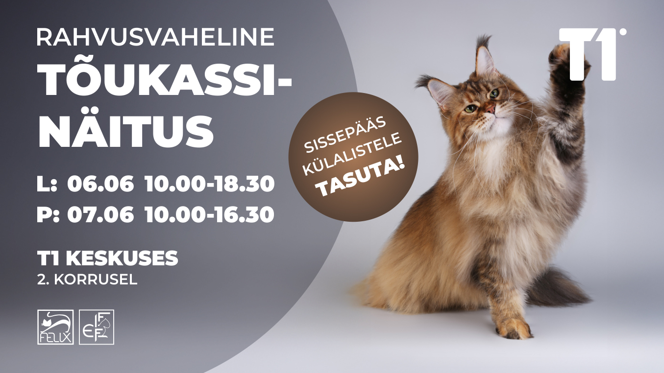 01_t1_kassinaitus_1355x762px