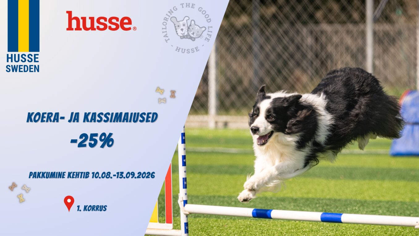 Husse koolikampaania bänner EST (4)