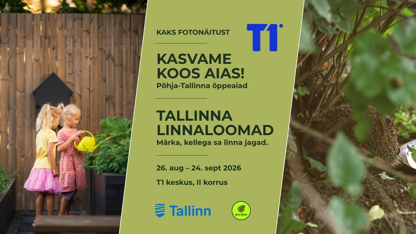 T1 NÄITUSED 1355x762 (1)